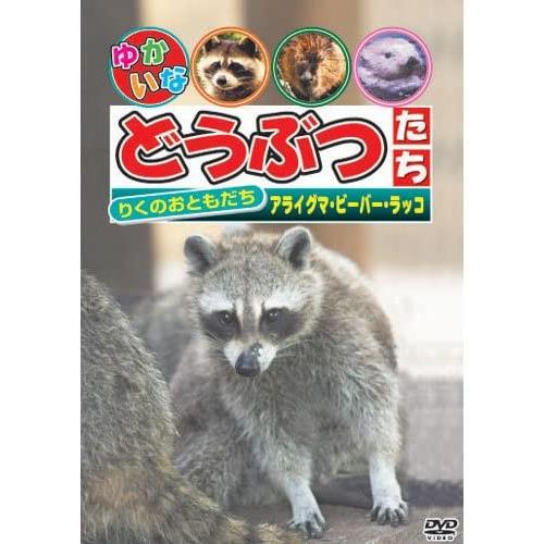 【おまけCL付】新品 ゆかいなどうぶつたち〜アライグマ・ビーバー・ラッコ〜 （DVD） ABX-11...