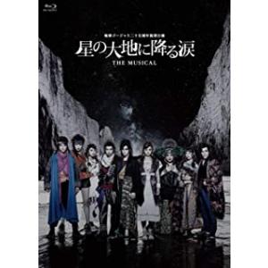 【専用】『星の大地に降る涙』 +Catch a WaveDVD 地球ゴージャス二十五周年祝祭公演 「星の大地に降る涙 THE