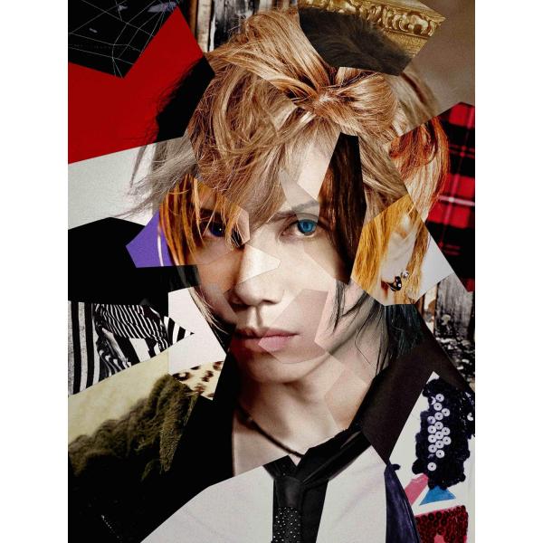 【特典CL付】新品 Recreation 1 / Acid Black Cherry(CD) AVC...