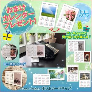 【特典CL付】新品 青春の洋楽スーパーベスト’...の詳細画像2