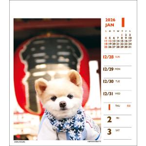 【残りわずか】俊介 週めくりミニ 2026年 ...の詳細画像1