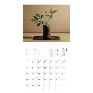 【残りわずか】茶花 2026年 壁掛けカレンダ...の詳細画像2