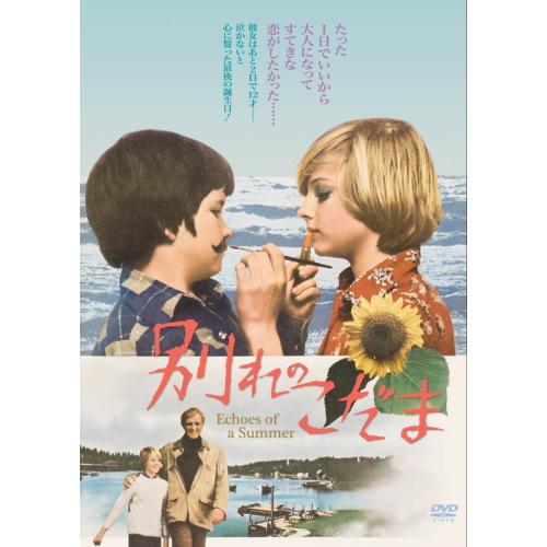 【おまけCL付】新品 別れのこだま （DVD） COMT-014