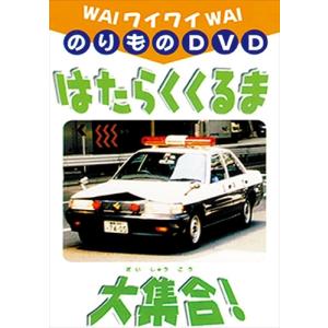 NHKエンタープライズ 新品 NHK少年ドラマシリーズ つぶやき岩の秘密