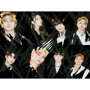 STRAY KIDS I AM YOU 3RD MINI ALBUM ストレイキッズ 3集 ミニ