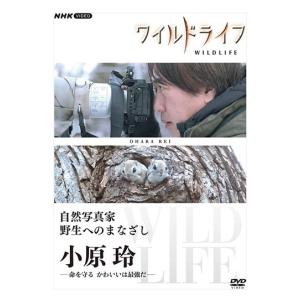 DVD-BOX「ランチの女王 完全版」 (主演竹内結子 フジテレビ 月9 ラブ