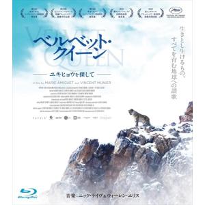 【特典CL付】ベルベット・クイーンの買取情報