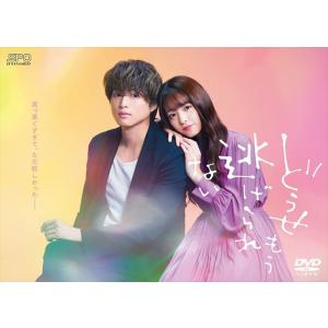 韓国ドラマ「九尾狐 クミホ伝 不滅の愛」OST オリジナル サウンド