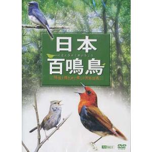 【おまけCL付】新品 日本百鳴鳥／映像と鳴き声で愉しむ野鳥図鑑　（DVD）　SDA-84