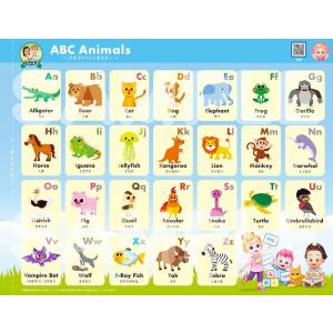 【特典DVD付】新品 Bebefinn 【ベベ...の詳細画像4