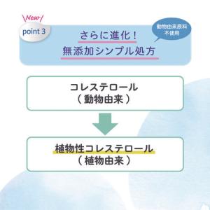 全身泡ソープ ベーシック(詰めかえ用400ml...の詳細画像4