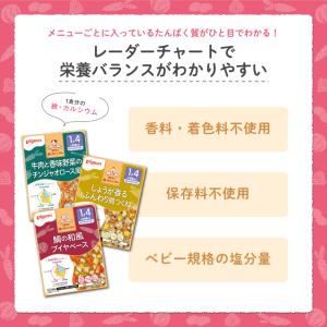 【3個セット】ベビーフード 1食分の鉄カルシウ...の詳細画像3