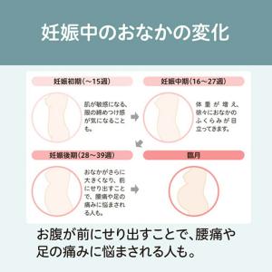 初期から使える 妊婦さんの腰しっかりサポーター...の詳細画像2