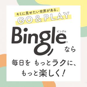 ピジョン pigeon ビングル BB4 ベビ...の詳細画像2