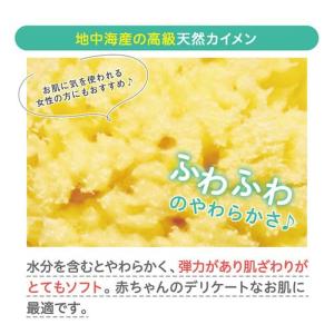 天然カイメン 0ヵ月〜 海綿 スポンジ ボディ...の詳細画像2