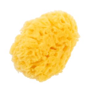 天然カイメン 0ヵ月〜 海綿 スポンジ ボディ...の詳細画像5