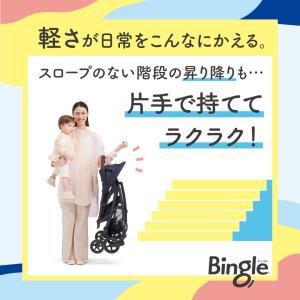 【ディープブルー完売】ピジョン ビングル BB...の詳細画像2