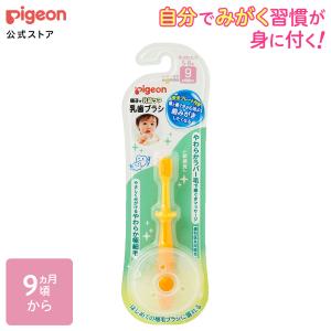乳歯ブラシ レッスン段階2 ベビー用品 赤ちゃん用品 便利グッズ 便利アイテム 歯ブラシ ベビー歯ブラシ はみがき ハミガキ ピジョン pigeon