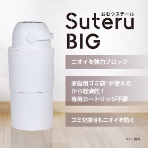 おむつステール BIG(ビッグ) 0ヵ月〜 お...の詳細画像1