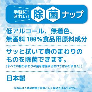 22枚入×10個セット 除菌ナップ おでかけ用...の詳細画像1