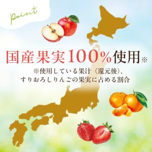 【12個】国産くだものスムージー MINOTT...の詳細画像2