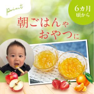 【12個】国産くだものスムージー MINOTT...の詳細画像4