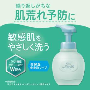 フィルベビーリペアセット(泡ソープ+泡シャンプ...の詳細画像1