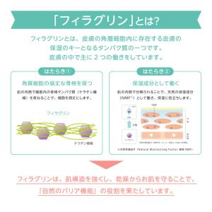 フィルベビーリペアセット(泡ソープ+泡シャンプ...の詳細画像3
