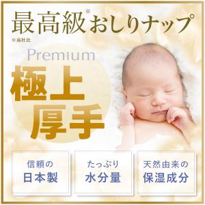 【50枚×18個】はじめてのおしりナップ プレ...の詳細画像1