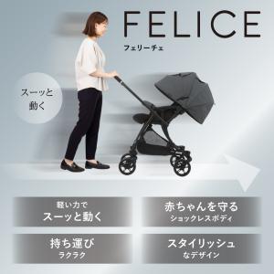 フェリーチェ(FELICE) ーレインカバーセ...の詳細画像1