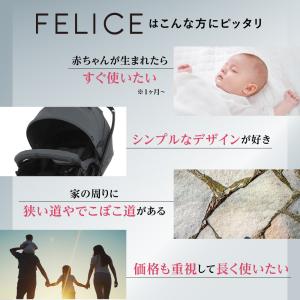 フェリーチェ(FELICE) ーレインカバーセ...の詳細画像2