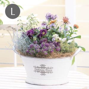 取り寄せ販売 プランター おしゃれ ガーデニング 鉢 底穴あり 寄せ植え フラワーポット インテリア ラウンドティンプランター L ホワイト 5677 村田屋産業