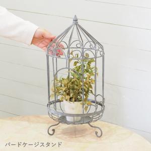 ガーデン雑貨 鳥かご ガーデニング アイアン おしゃれ インテリア