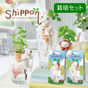 室内栽培セット 野菜とハーブ