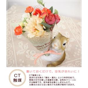 母 誕生日プレゼント 60代 70代 80代 ...の詳細画像1