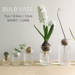 BULBVASE バルブベース 花瓶 ガラス 水栽培 容器 おしゃれ 観葉植物 球根 ポット 鉢