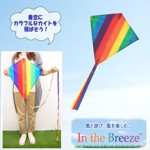 即出荷 カイト 凧 凧揚げ 子供 スポーツカイト アウトドア