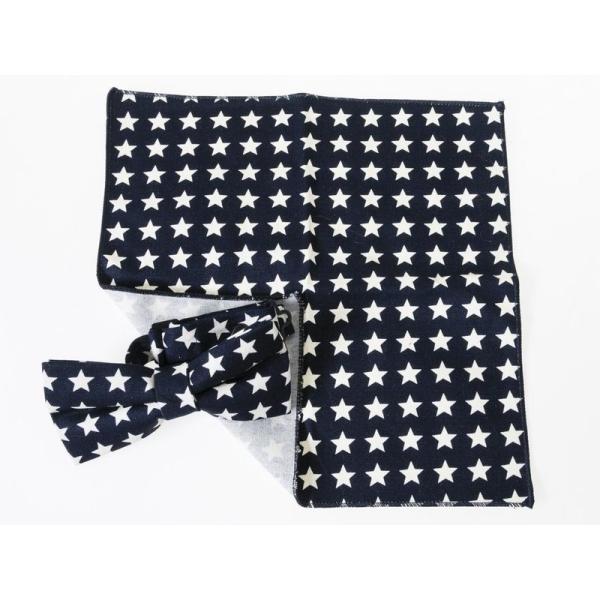 男女兼用 ファッション ビジネス カジュアル 蝶ネクタイ×ポケットチーフ セット #タイプ10