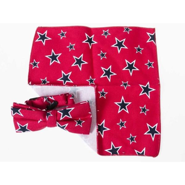 男女兼用 ファッション ビジネス カジュアル 蝶ネクタイ×ポケットチーフ セット #タイプ13