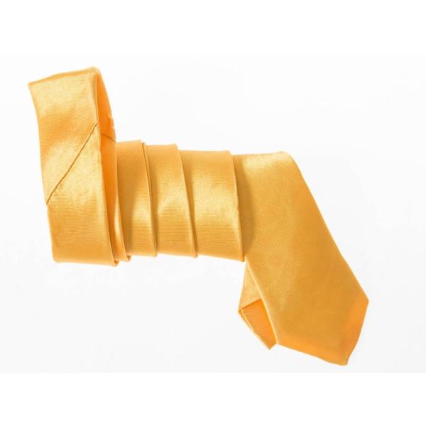 男女兼用 カジュアル ビジネス 正装 ファッション小物 スーツなど 細身ネクタイ 無地#オレンジイエ...