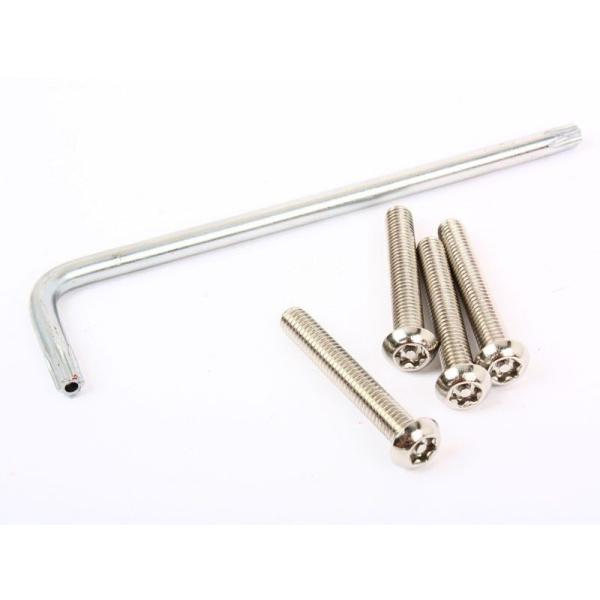 いたずら 盗難防止 Ｍ6×40ステンレスピン付きヘックスローブ特殊ネジボルト4本組+L型レンチ1本付...