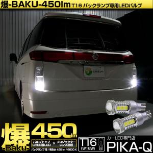 Vulcans NISSAN 日産 エルグランド E51 LEDルームランプ LEDラゲッジ