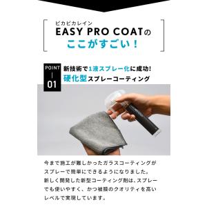 【今だけ25%OFF♪】車 ガラスコーティング...の詳細画像4