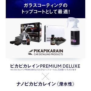 車 メンテナンス剤 ナノピカピカレイン 滑水性...の詳細画像3