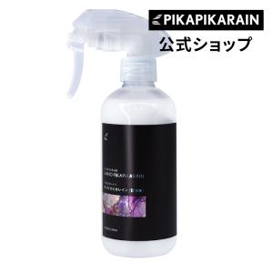 車 メンテナンス剤 ナノピカピカレイン 滑水性...の詳細画像1