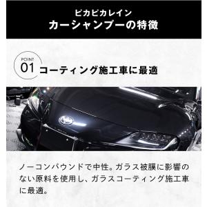 ピカピカレイン カーシャンプー 洗車 車 コー...の詳細画像4