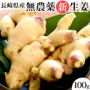 国華園 しょうが 4kg 新しょうが 和歌山産 野菜 新生姜 国産 冷蔵便