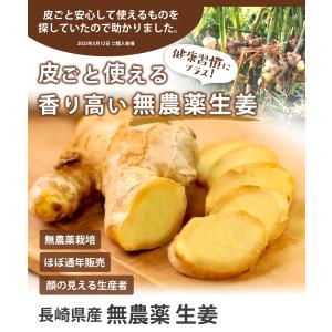 生姜 無農薬 1kg 2kg 3kg 4kg ...の詳細画像1