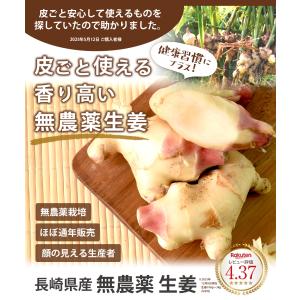 新生姜 無農薬 生姜 1kg 2kg 3kg ...の詳細画像1
