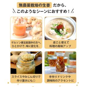 生姜 無農薬 1kg 2kg 3kg 4kg ...の詳細画像2